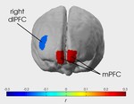 A functional near infrared spectroscopy (fNIRS) replication of the sunscreen persuasion paradigm