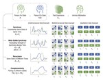 Interdependent minds - Quantifying the dynamics of successful social interactions