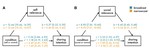 Message self and social relevance increases intentions to share content - Correlational and causal evidence from six studies.